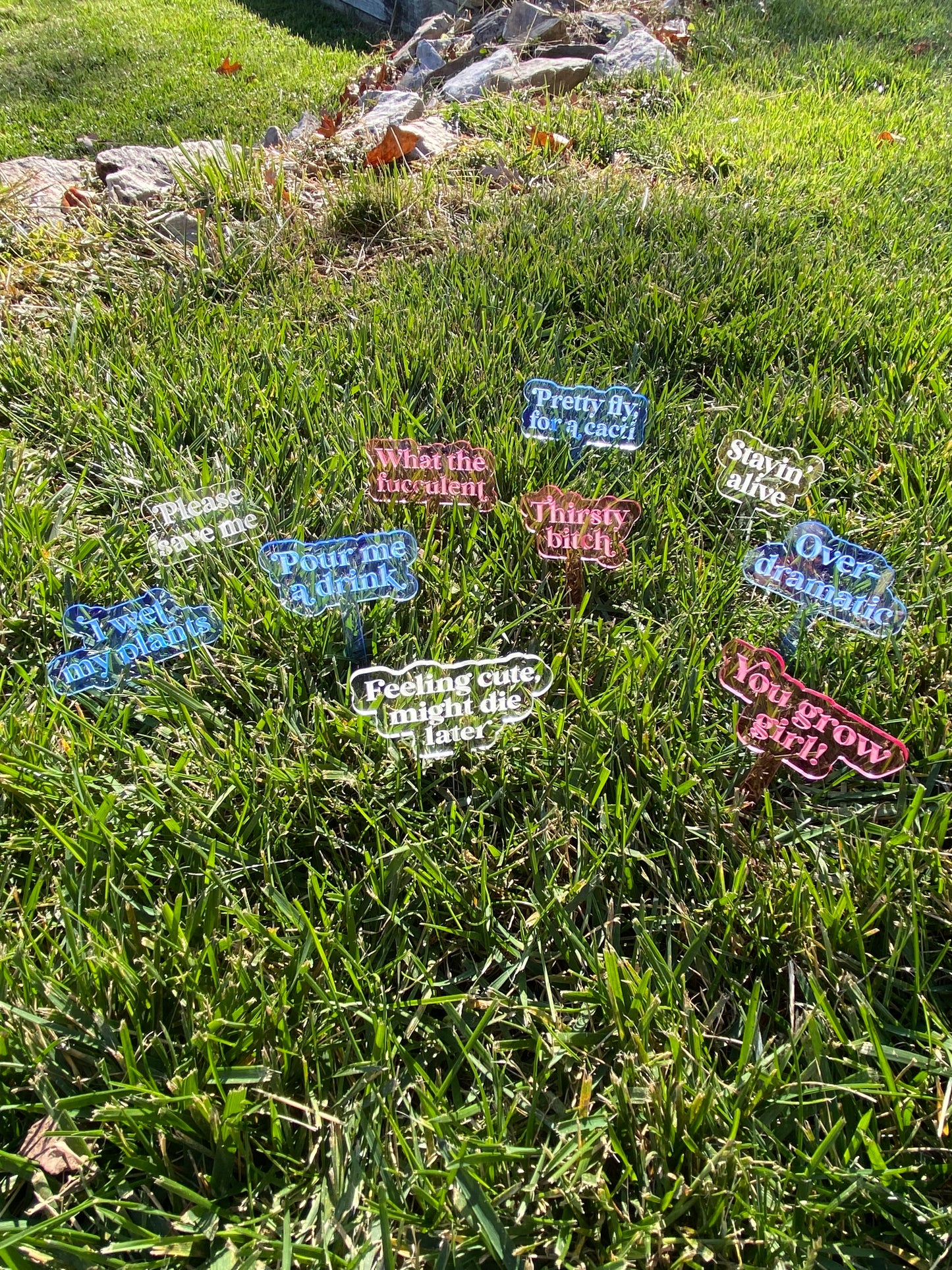 Plant Stake